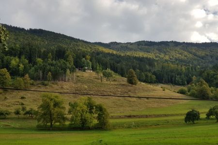 Kriška gora - Gozd, pogled na Kriško goro.jpg