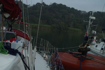 08_Panamski kanal03_jutro na Gatunskem jezeru v kanalu.jpg