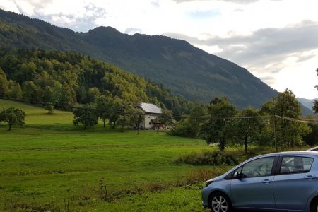 Kriška gora - Gozg, pogled na Tolsti vrh.jpg