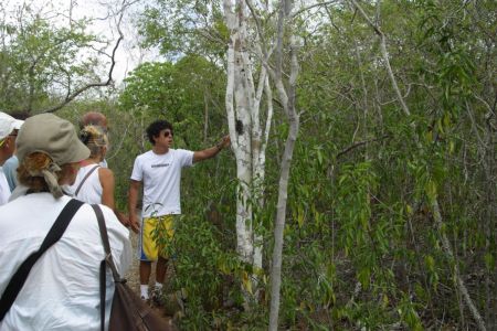 11_Galapagos_San Cristobal_Galapaguera ucni park02.jpg