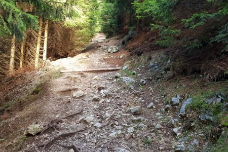 Kriška gora - zadnja strmina.jpg
