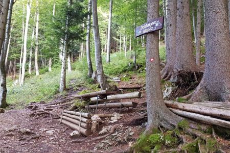 Kriška gora - Dohtarjeva klopca.jpg