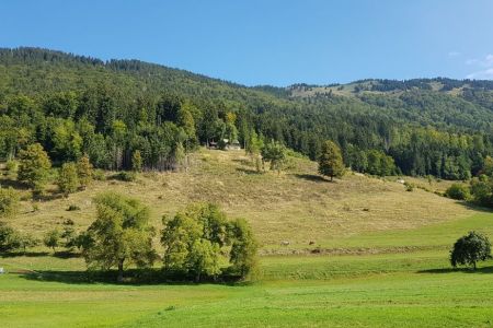 Kriška gora - pogled z Gozda na Kriško goro.jpg