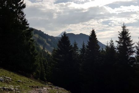 Kriška gora - pogled proti Storžiču.jpg