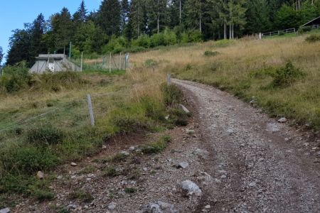 Kriška gora - levo proti koći.jpg