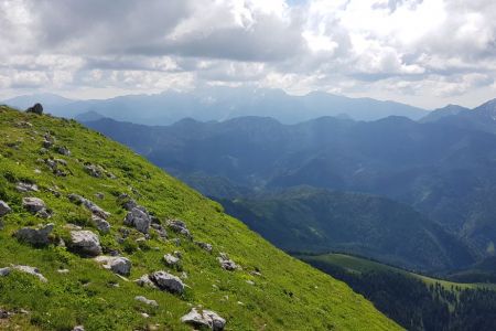 Veliki vrh - pogled proti Grintovcu.jpg