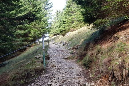Kriška gora - ni več daleč.jpg