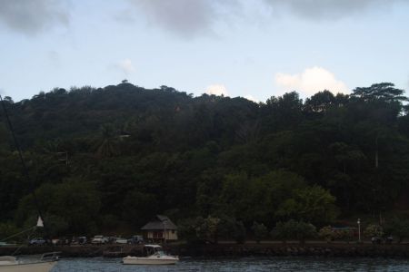 13_Hiva Oa_sidrisce09.jpg