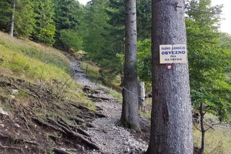 Kriška gora - pašno območje.jpg