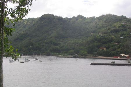 13_Hiva Oa_sidrisce04.jpg